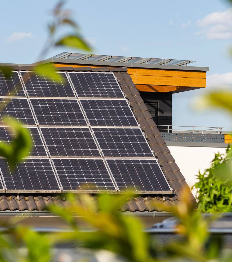 Mimiti - Building Contractors | Green building solution service page