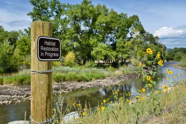 Environmental restoration | Landscaping Architecture service - Mimiti