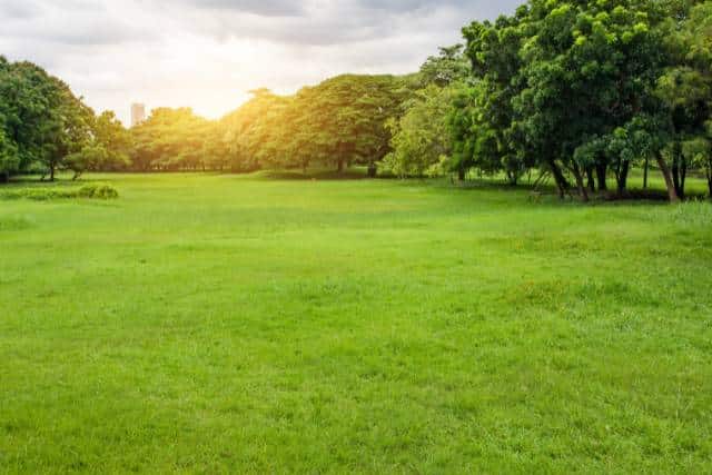 Environmental restoration | Landscaping Architecture service - Mimiti
