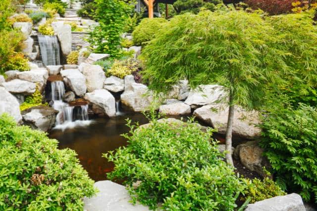 Garden park design | Landscaping Architecture service - Mimiti