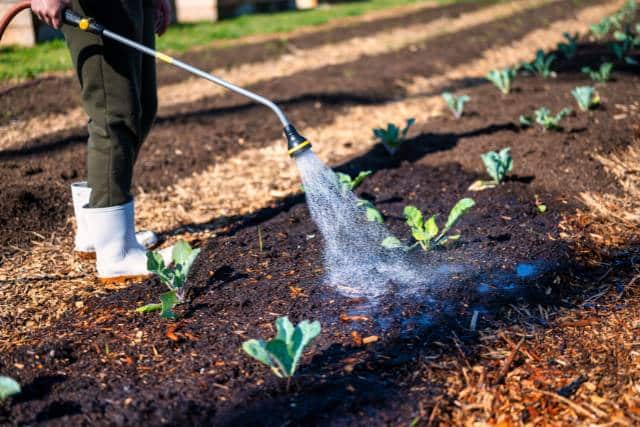Residential Landscape planning | Landscaping Architecture service - Mimiti