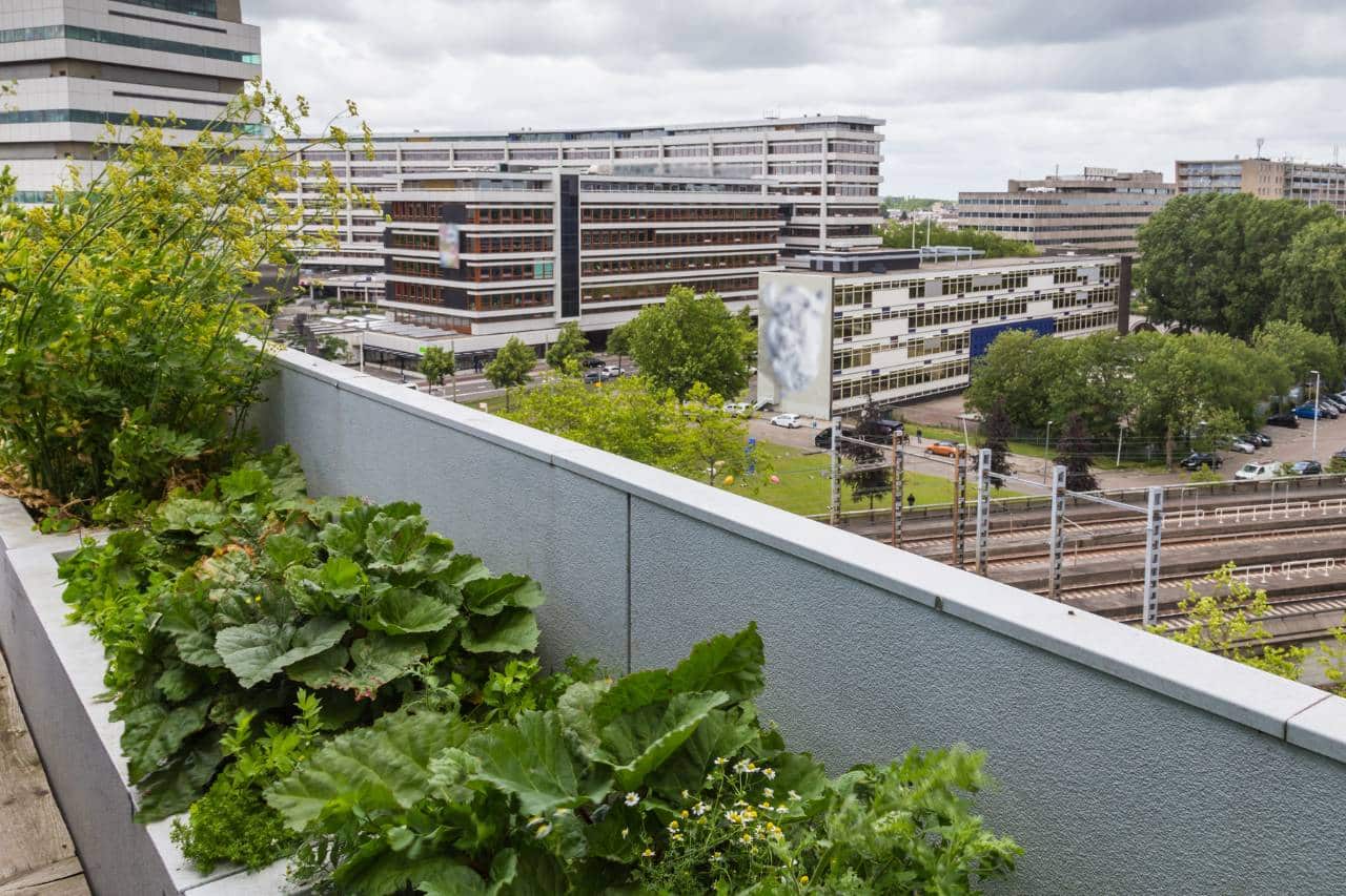 The Role of Sustainability in Modern Architecture | Architecture - Mimiti