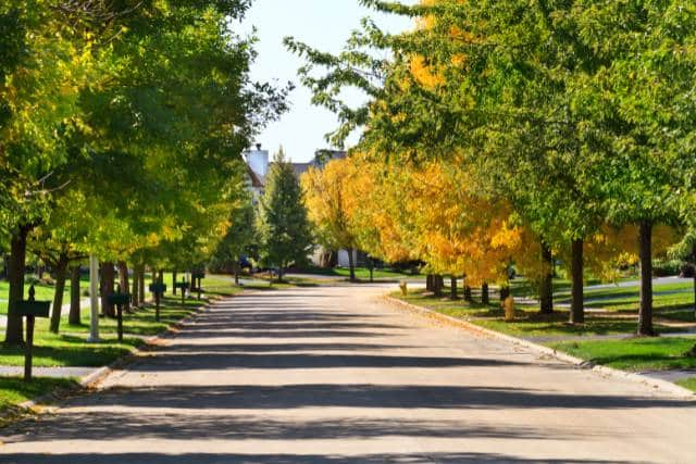 Urban Landscaping | Landscaping Architecture service - Mimiti