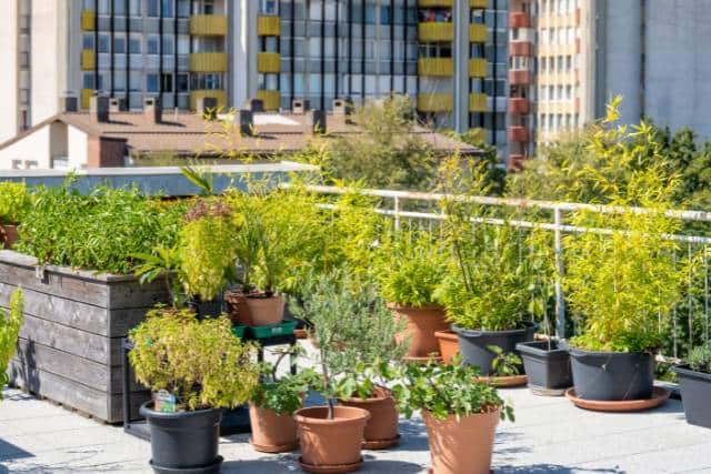 Urban Landscaping | Landscaping Architecture service - Mimiti