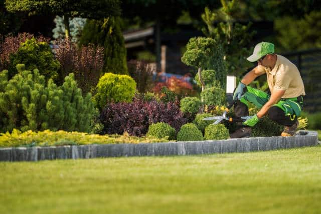 Urban Landscaping | Landscaping Architecture service - Mimiti