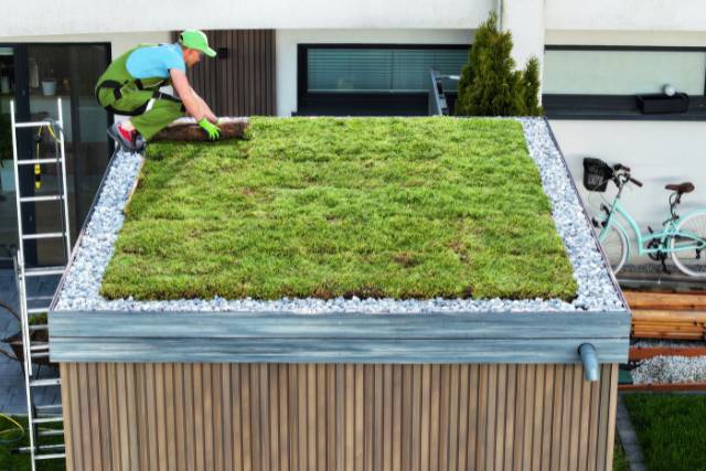 Sustainable Design Solutions | Architecture service - Mimiti