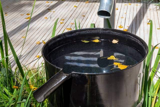 Water-wise landscaping | Landscaping Architecture service - Mimiti