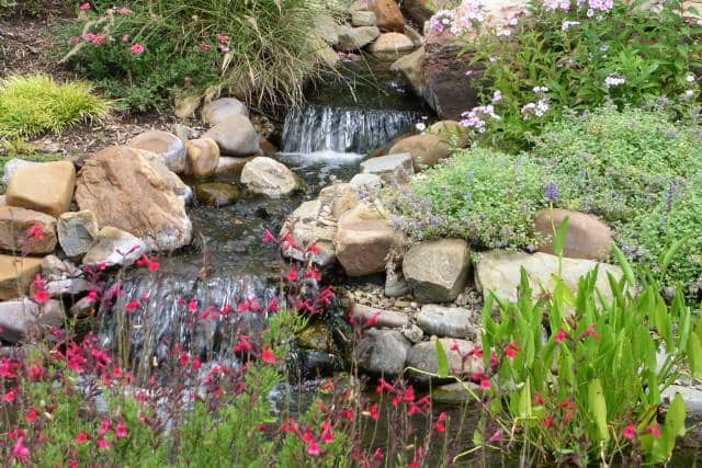 Water-wise landscaping | Landscaping Architecture service - Mimiti