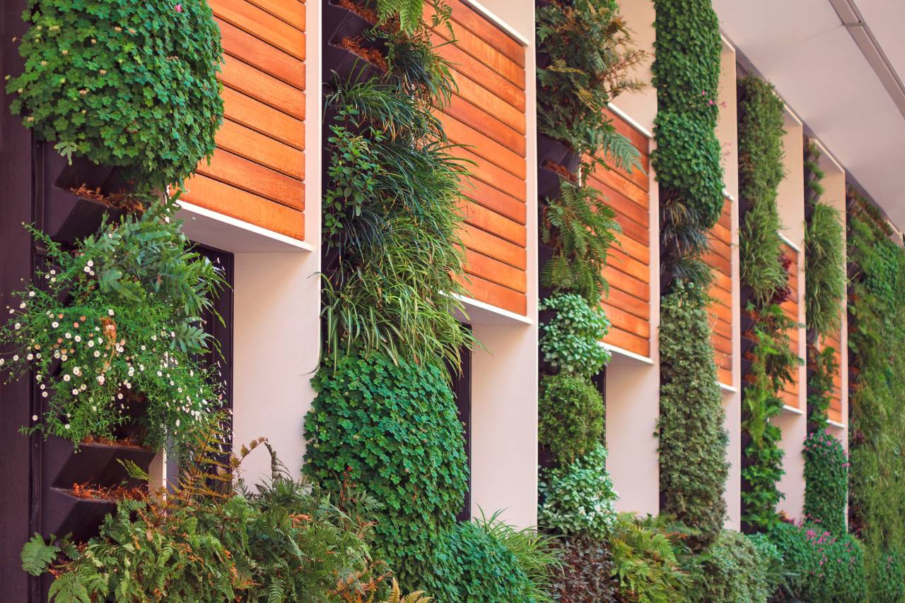 The Importance of Landscape Architecture in Urban Areas | Landscaping - Mimiti