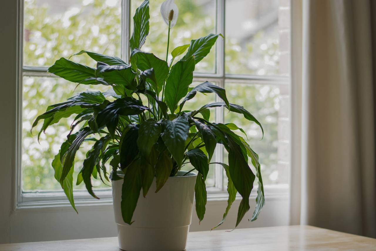 Eco-Friendly Interior Design Ideas for Your Home | Mimiti