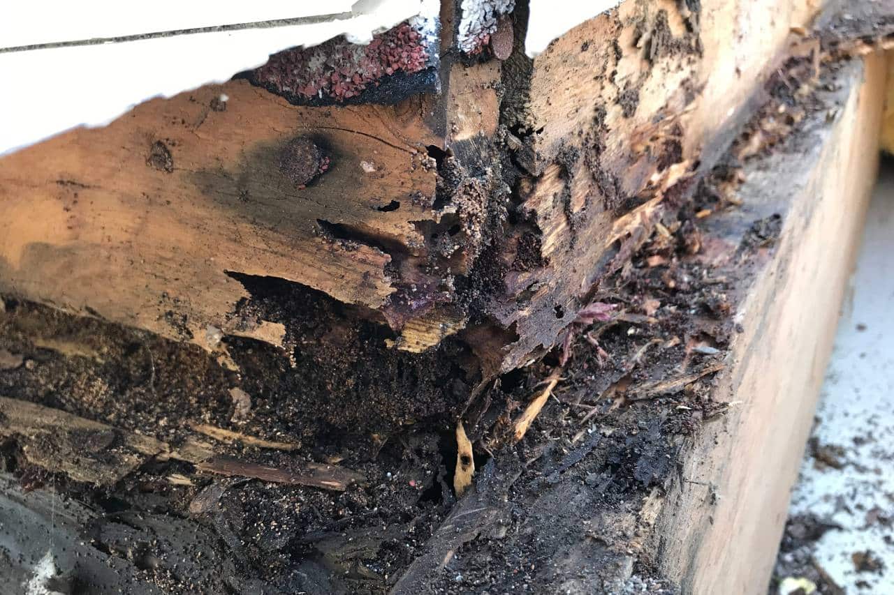 How to Prevent Common Structural Issues in Your Home | Mimiti