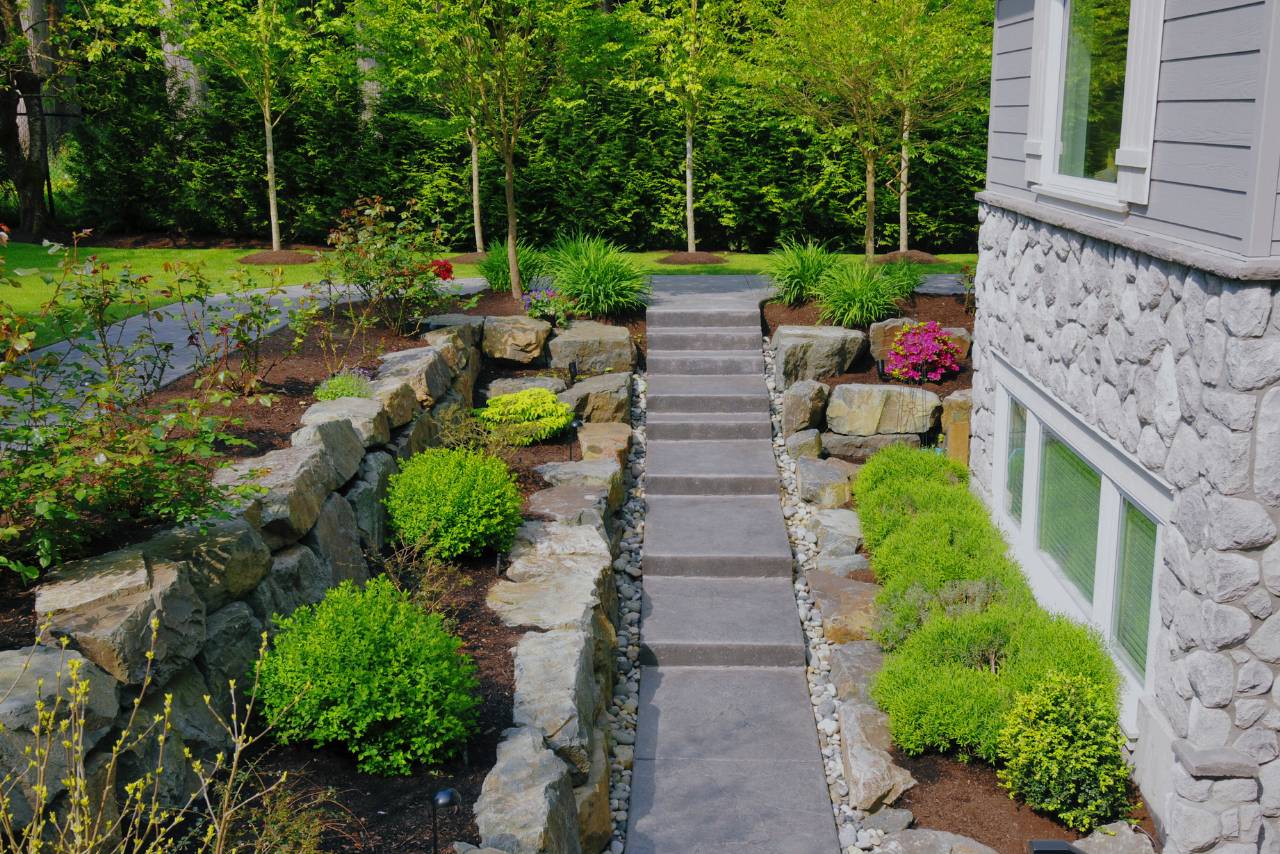 How Landscaping Increases Property Value | Landscaping - Mimiti