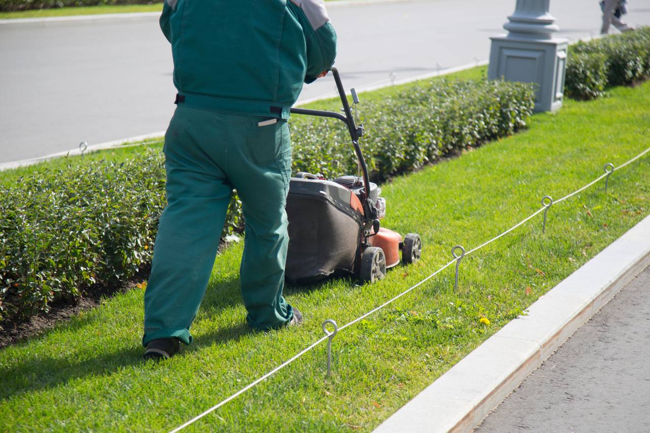 How Landscaping Increases Property Value | Landscaping - Mimiti