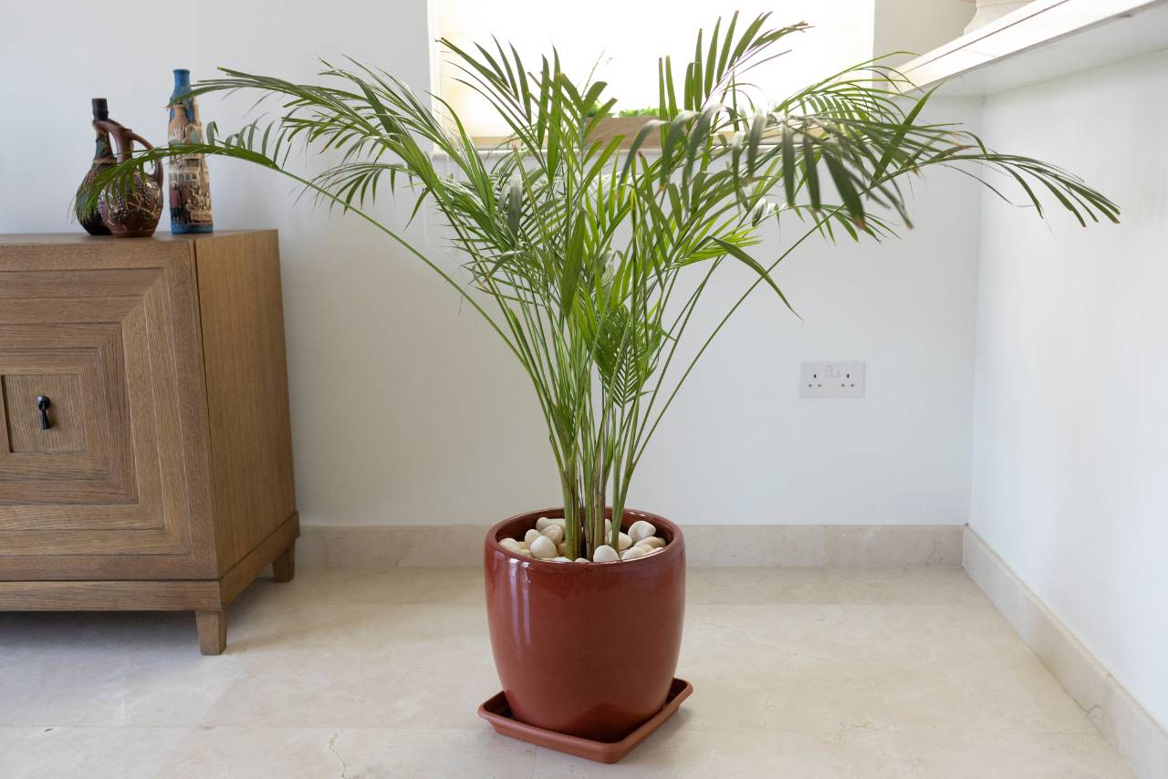 Maximum Natural light in interior design | Interior Design - Mimiti