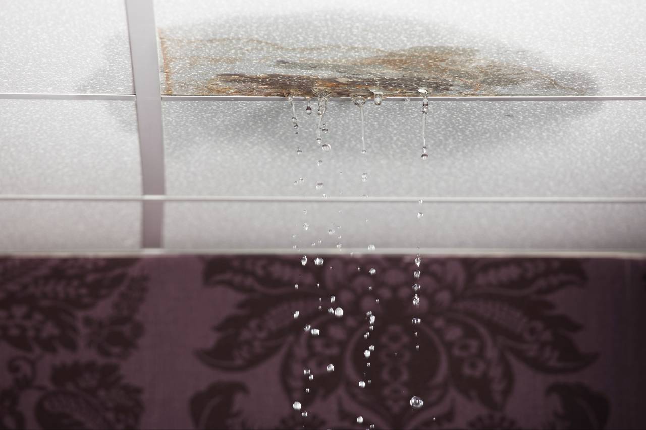 How to Prevent Common Structural Issues in Your Home | Mimiti