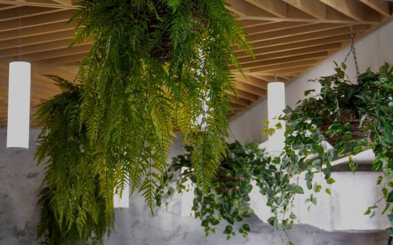 Sustainable Architecture & Design | Green Building Solutions - Mimiti