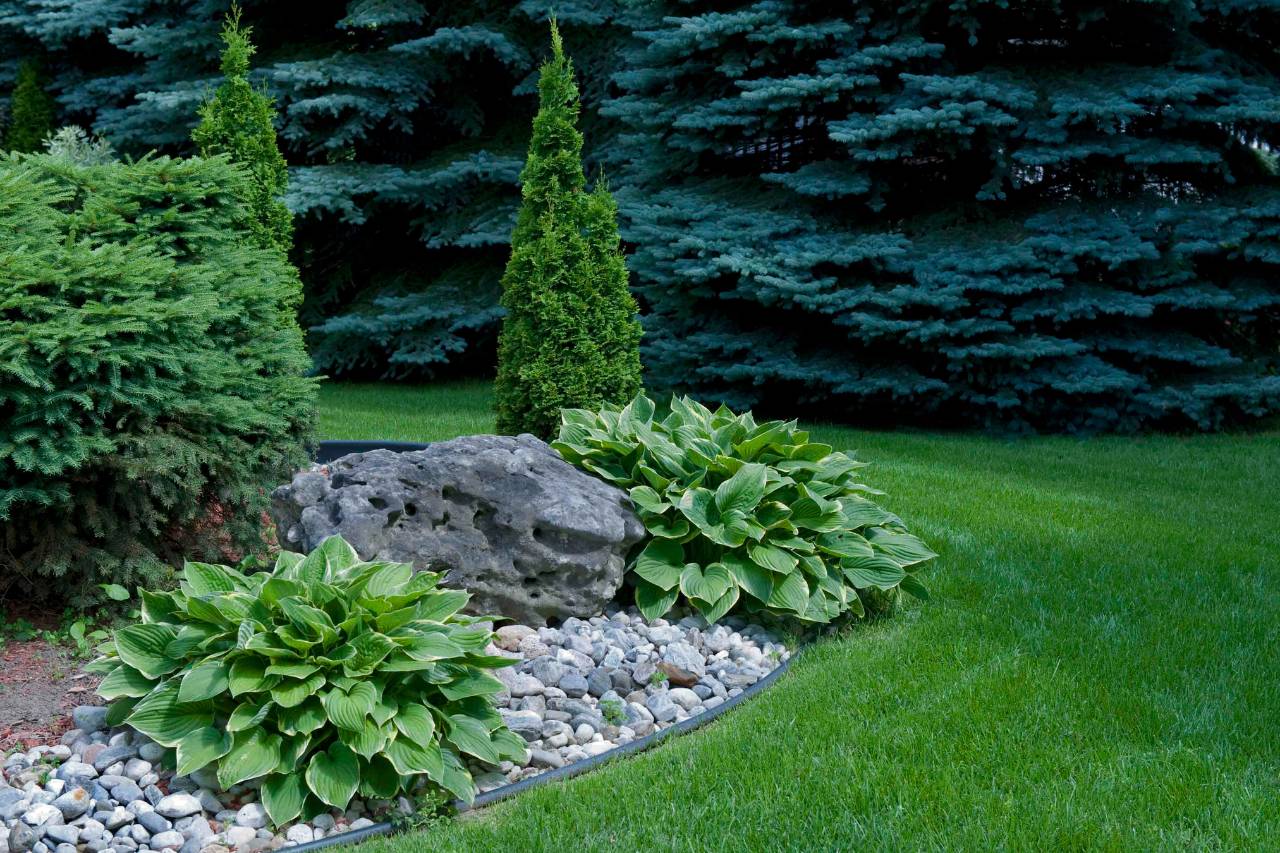 Water Conservation Strategies for Green Buildings | Mimiti