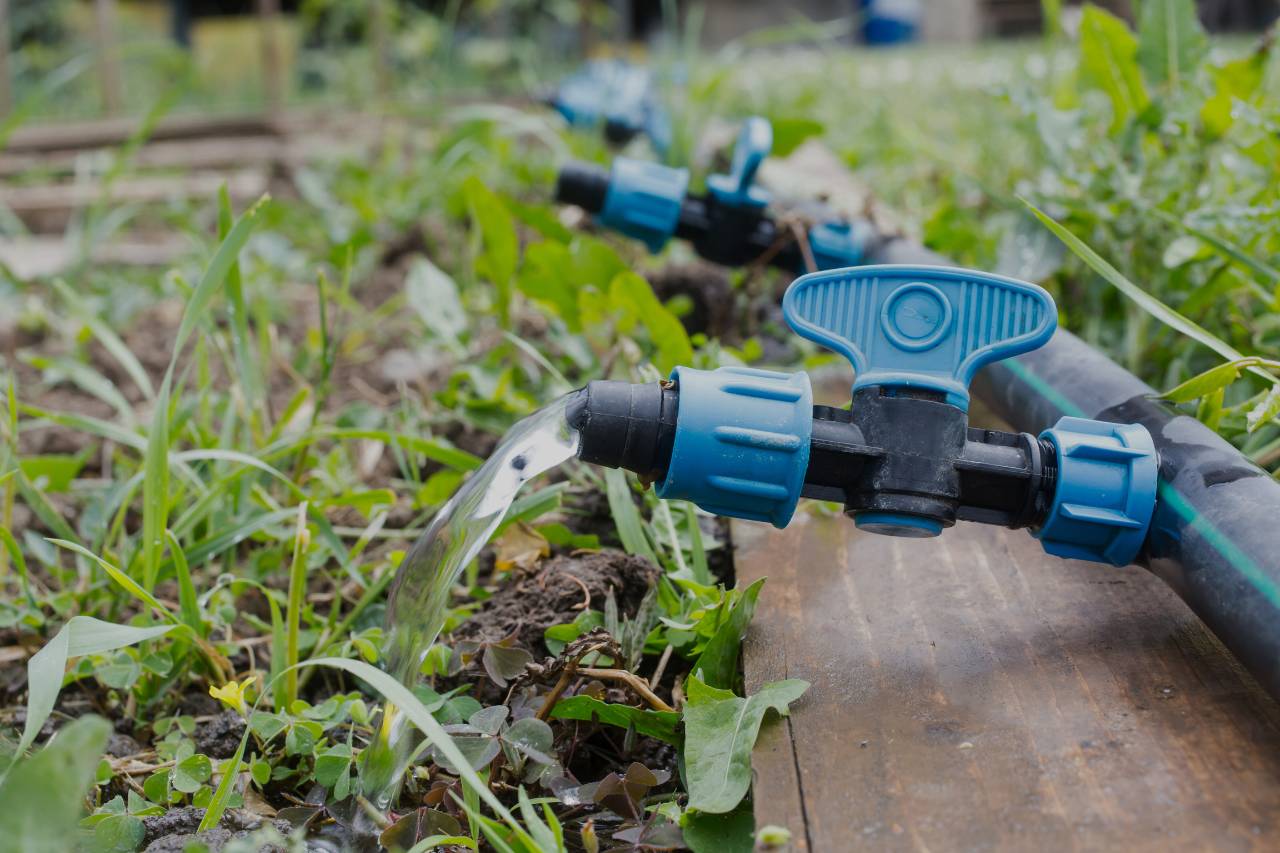 Water Conservation Strategies for Green Buildings | Mimiti