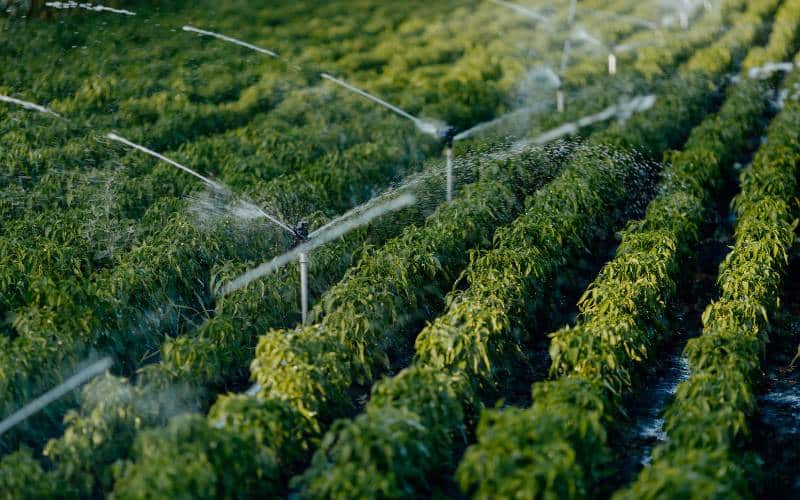 Water Efficiency Solutions | Green Building Solution - Mimiti