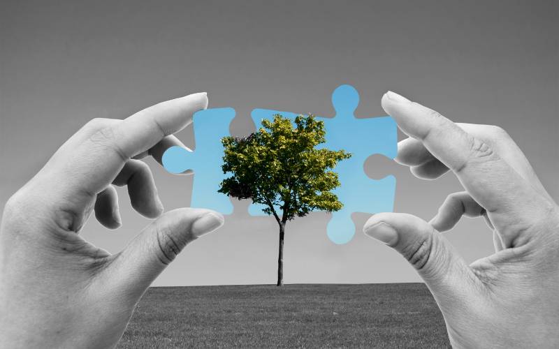 Waste Management Services | Green Building Solutions - Mimiti
